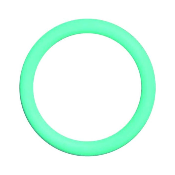 O-Ring Flaschenhals 25,0 x 3,5